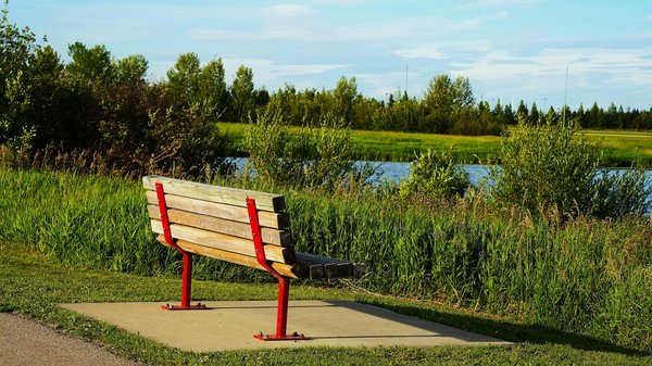 Exploring Cutting-Edge Remote Health Monitoring Technologies for Seniors: The Latest Innovations!