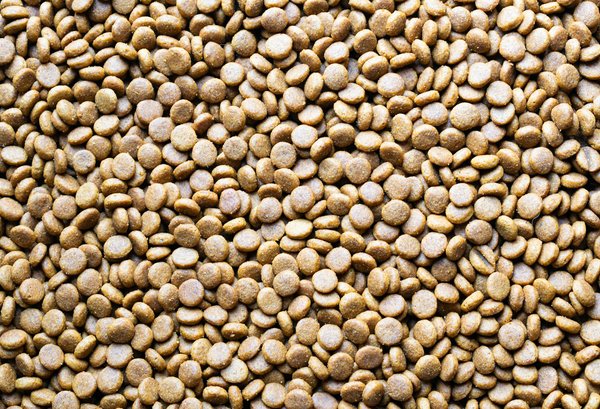 Expert Guidance from UK Health Professionals for Pregnant Women Battling Severe Fatigue